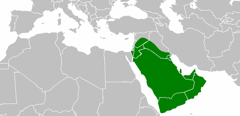 پرونده:Abubakr'sreign.png