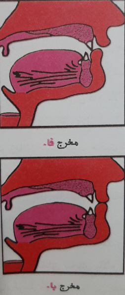 پرونده:مخرج فاء و باء .jpg