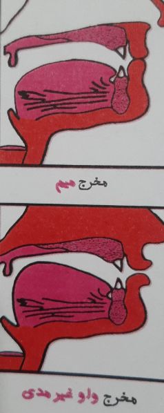 پرونده:مخرج میم و واو .jpg