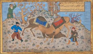 Bihzad Two camels fighting colors.jpg