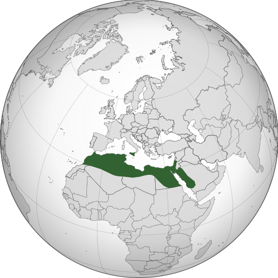 پرونده:FatimidCaliphate969 (orthographic projection).svg