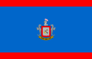 Flag of the Colombian Naval Infantry.png
