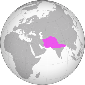 Ghurid dynasty (greatest extent).svg