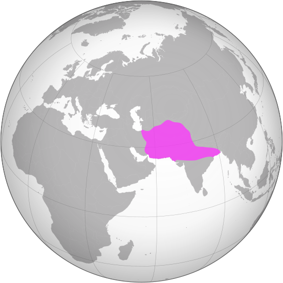 پرونده:Ghurid dynasty (greatest extent).svg
