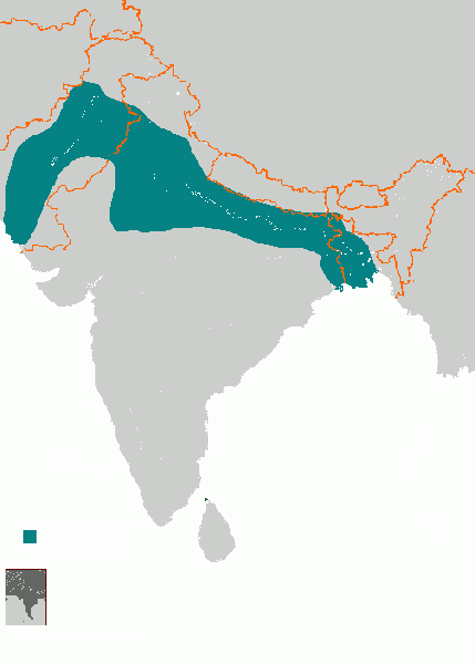 پرونده:Mamluk dynasty 1206 - 1290 ad.GIF
