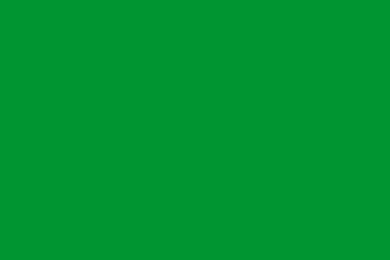 پرونده:Rectangular green flag.svg