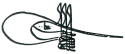 سلیم یکم's signature